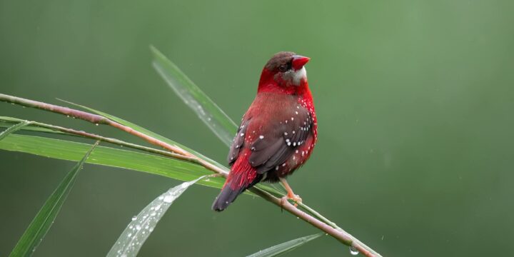 Điều làm ta đau không phải là sự thật, mà là cách ta diễn giải nó