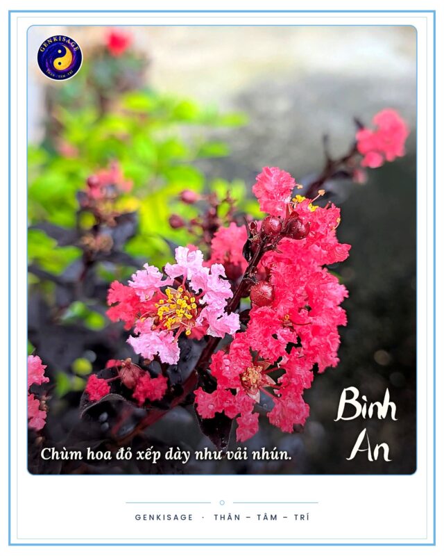 Bạn không mệt mỏi vì cuộc sống, bạn mệt vì không thể buông xuống