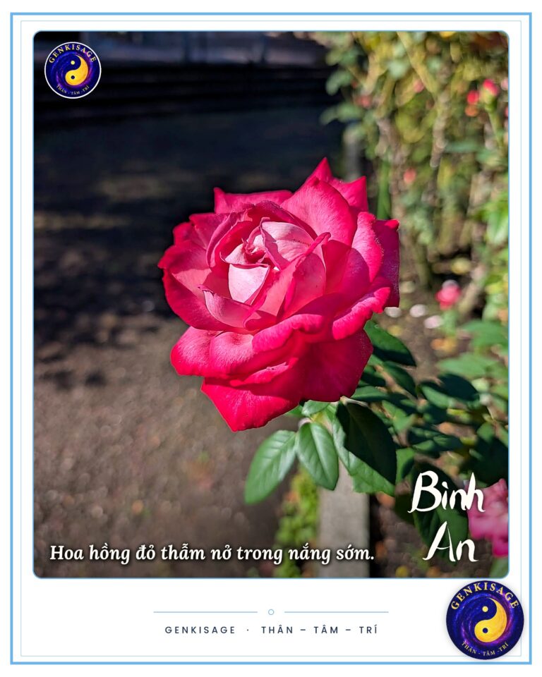 Hoạt động Đồng Hành – GENKISAGE