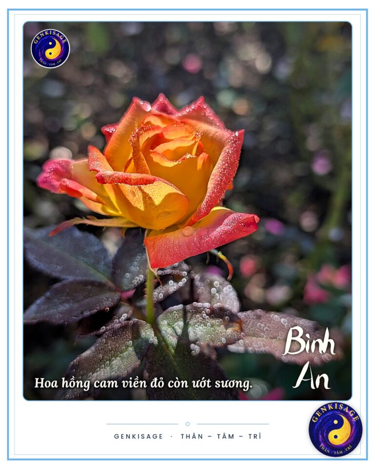 Hoạt động Đồng Hành – GENKISAGE