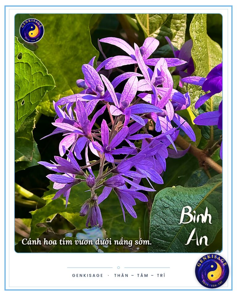 Hoạt động Đồng Hành – GENKISAGE