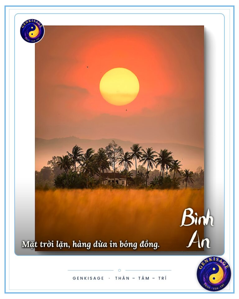 Hoạt động Đồng Hành – GENKISAGE